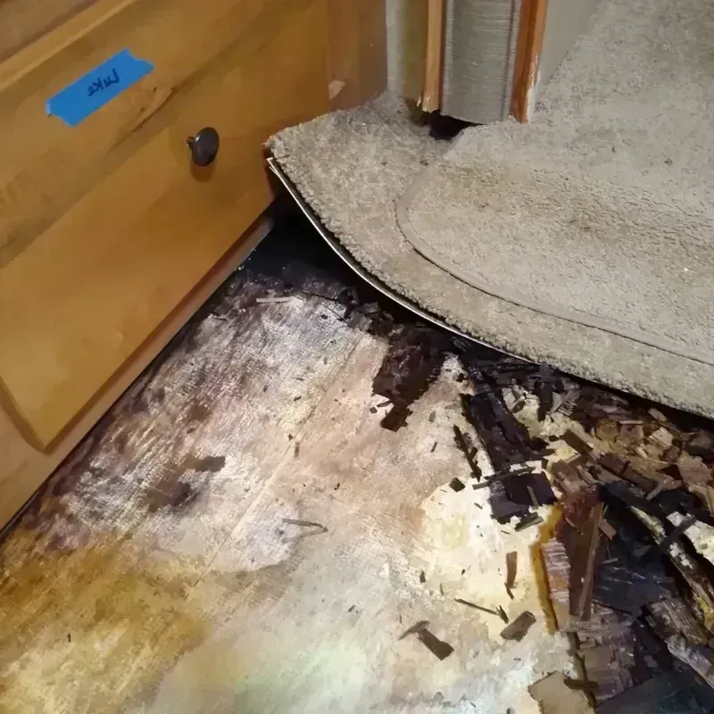 Wood Floor Water Damage in Pell City, AL